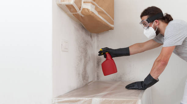 Professional Attic Mold Remediation technician working in Wrightsville, GA