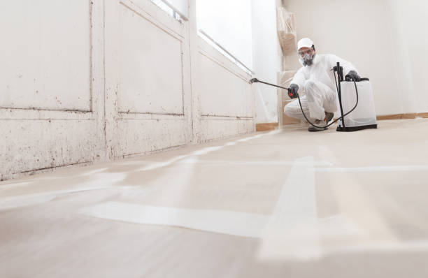 24/7 Emergency Attic Mold Remediation experts in Wrightsville, GA