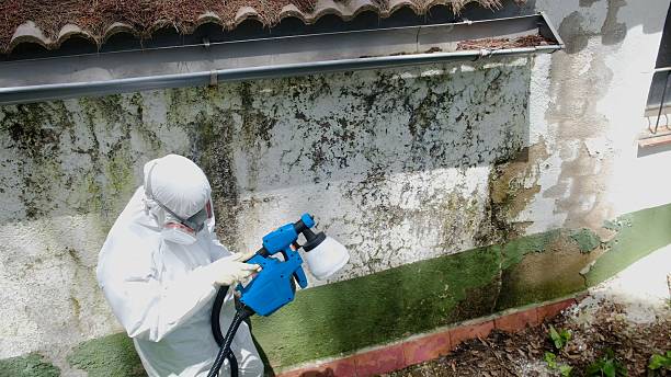 Top rated local Attic Mold Remediation specialists in Wrightsville, GA